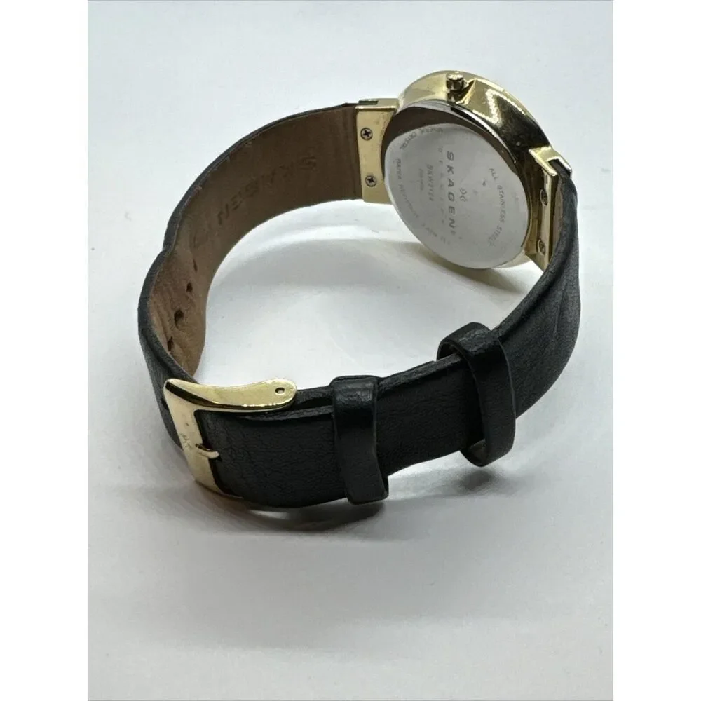 Skagen SKW2124 Women's Black Leather Strap Analog Dial Quartz Wrist Watch JNA925